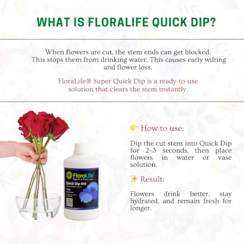 Image of Oasis FloraLife Quick Dip - Instant Hydrating Treatment Solution for Preserving Fresh-Cut Flowers - 1 Litre