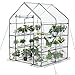 Walk In Greenhouse z półkami, wzmocniony zielony dom z rurową stalową ramą, 8 półek szklarnia do uprawy sadzonek, kwiatów, roślin
