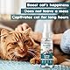 AmeizPet Katzenminze-Spray für Katzen, Katzenkratzspray-Nebel, Transparentes Verhaltensspray für Katzen und Kätzchen, 50 ml (1.69 Oz)