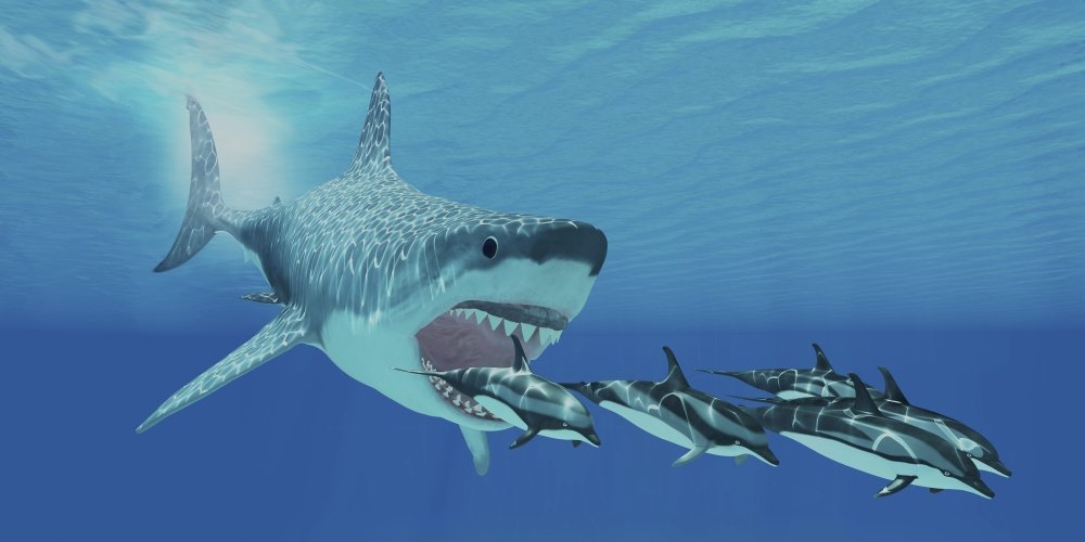 Posterazzi A huge Megalodon shark swims after a pod of striped dolphins Poster Print, (20 x 10)