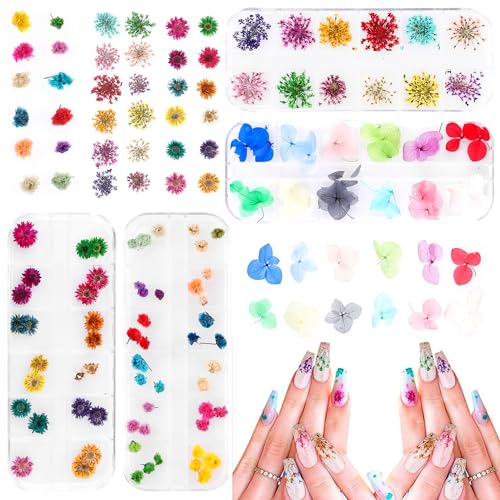 Flores secas para arte de uñas, set de 4 cajas miniatura 3