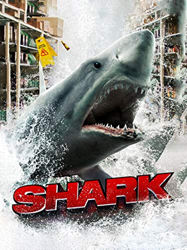  Shark