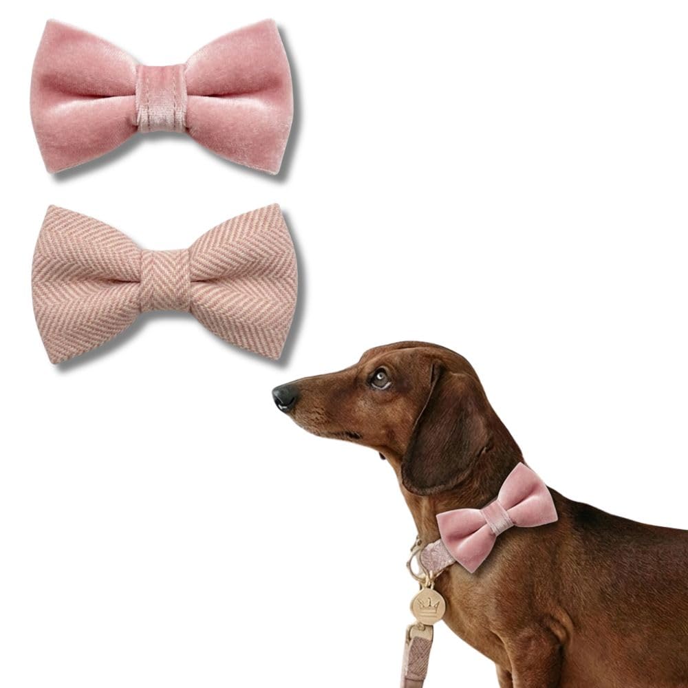 Tails Of Glory – Tweed & Velvet Dog Bow Ties – Set of 2 Elegant Dog Collar Accessories – Chic and Classic Style, Easy Elastic Attachment