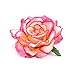 DreamLily Rose Flower Hair Clip Flamenco Dancer Pin up Flower Brooch BC10 (1#)