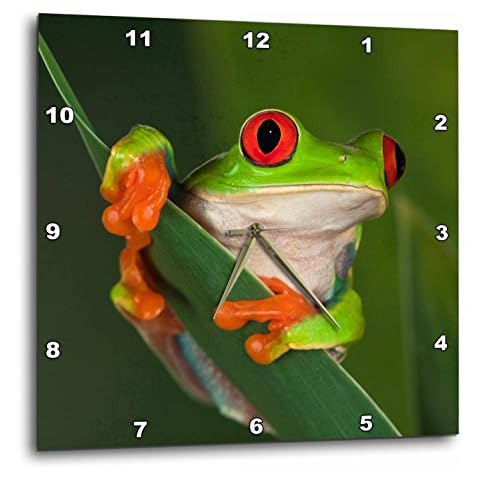 Reloj de Pared 3dRose DPP 83654 Redeyed de Rana 'Agalychnis Callidryas' Cover