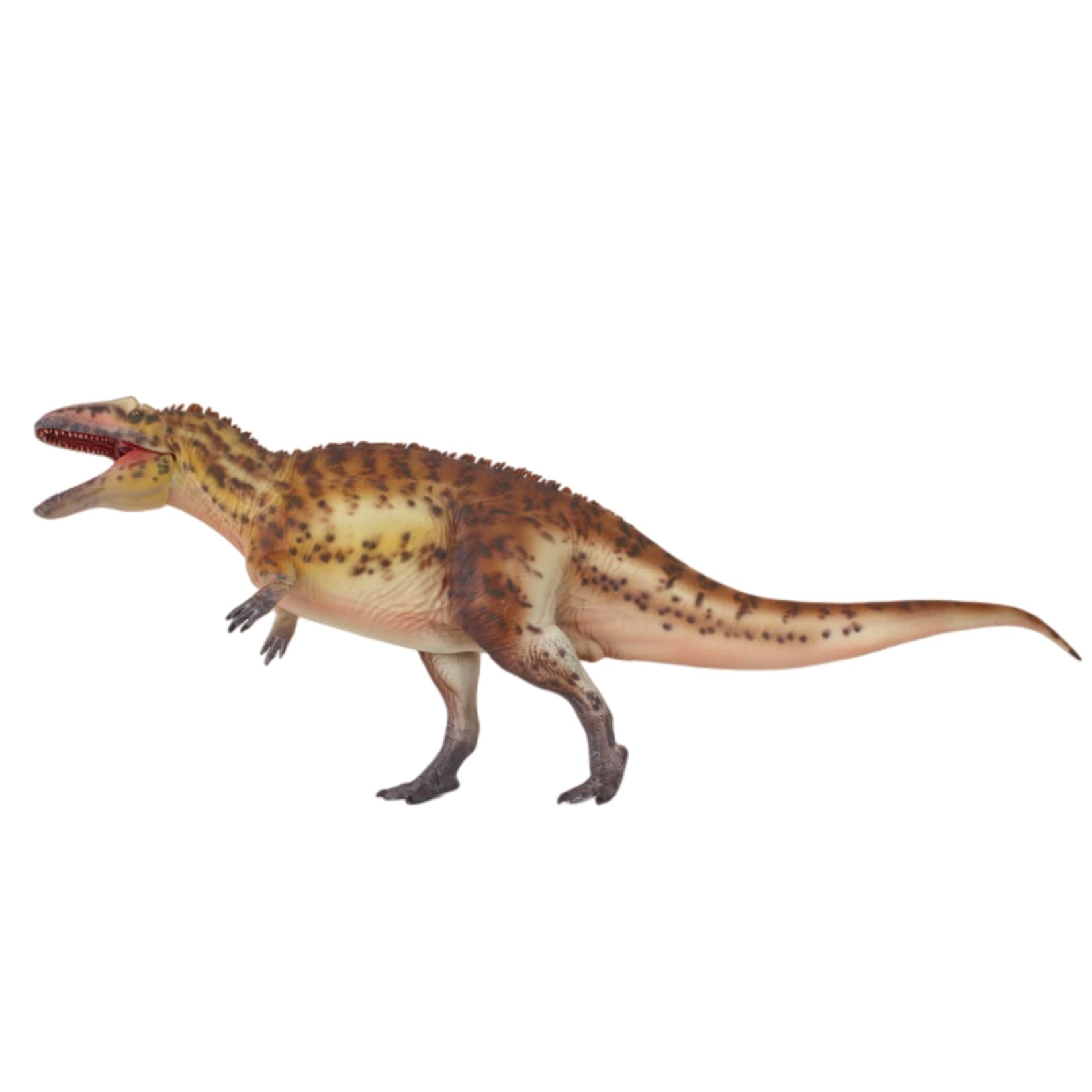 Amazon.co.jp: HAOLONGGOOD 1:35サイズ アクロカントサウルス