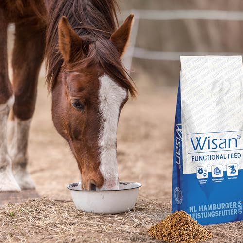 PANTO Pferdefutter Wisan-Mais 25 kg – schmackhaftes Kraftfutter für Pferde mit erhöhtem Energiebedarf, z.B. Sportpferde & magere Pferde, zum Auffüttern geeignet