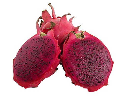 American Beauty Dragon Fruit - Hylocereus - Pitaya/Strawberry Pear - 4