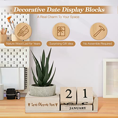 Decorative Date Blocks Cute Desk Decor Date Display, Artificial Succulent Wood Calendar for Teacher's Desk, Office Decor Graduation Gift