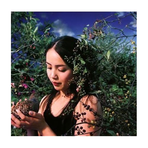 蛍草の夜 / 元ちとせ