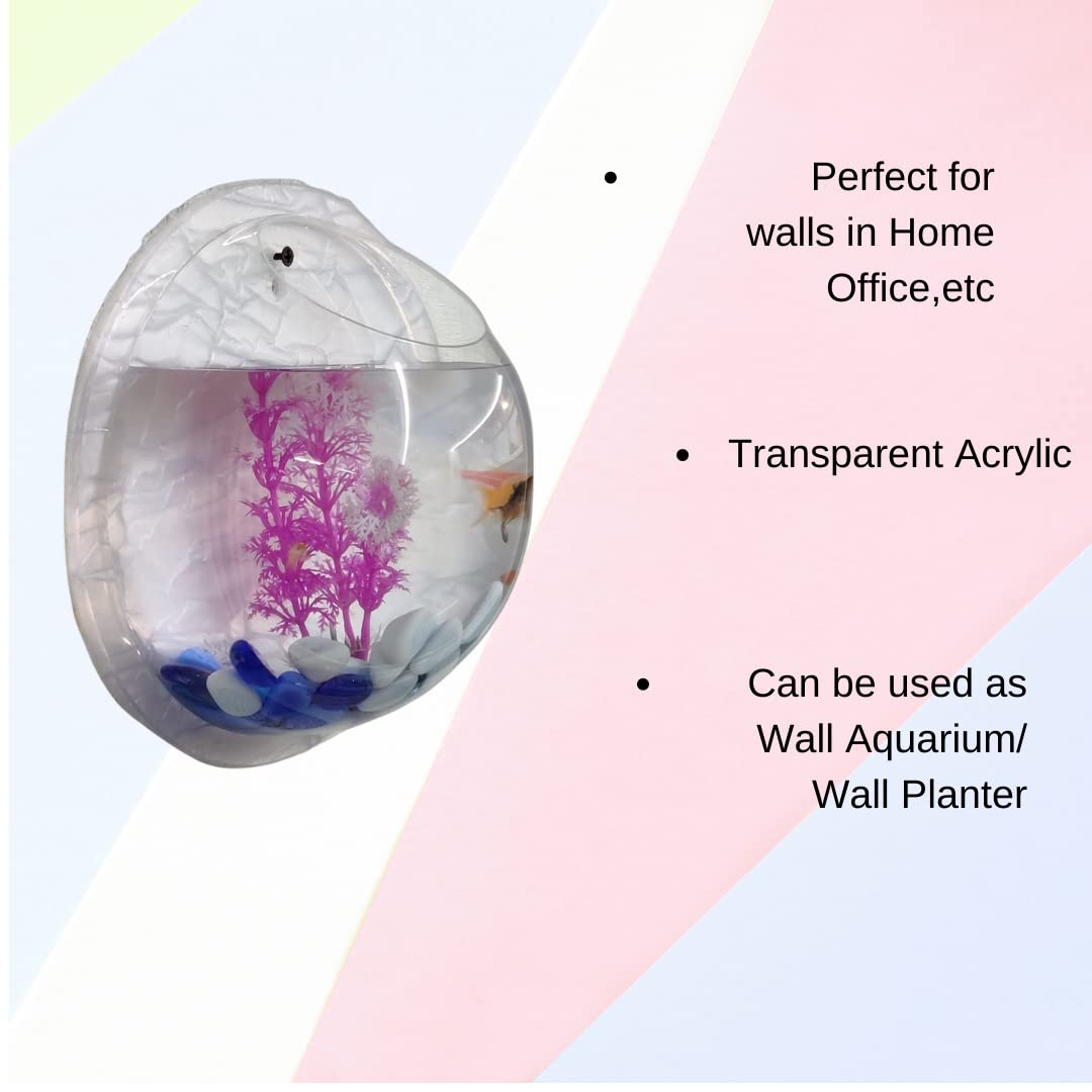 PetCrux Premium Acrylic Wall Mounted Aquarium Fish Bowl/Wall Planter for Home Decor (9 Inches, Snow White, Rust Resistant) 3