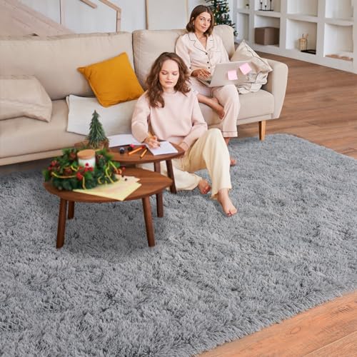 Dssimo Super Fluffy Rug for Bedroom, 6x9 Feet, Modern Shag Grey Area Rugs, Soft and Cozy Plush Large Carpet for Kids, Girls Boys and Teens Decorations for Living Room Dorm Nursery Classroom, Grey