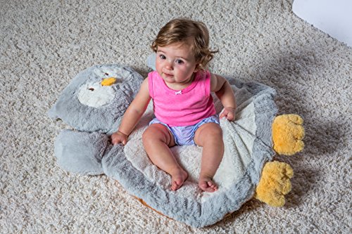 Mary Meyer Bestever Baby Mat, Owl #TOP1