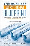 The Business Birthing Blueprint: How to Establish a Nonprofit Business Incubator (not just a Real...