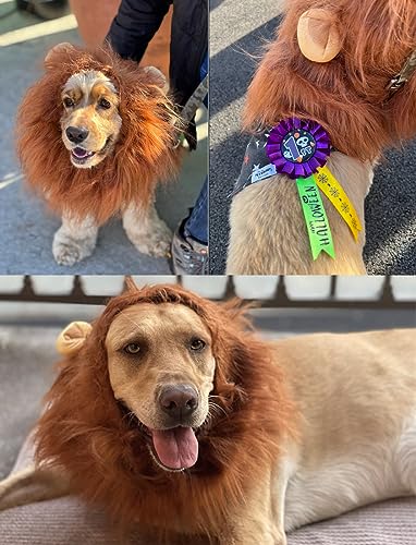 Melena de León para Disfraz de Perro Mediano/Grande miniatura 4