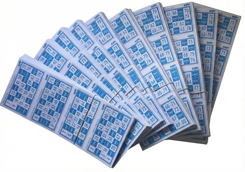 Cartons de Bingo Binvi animez vos soirées loto en famille et kermesses