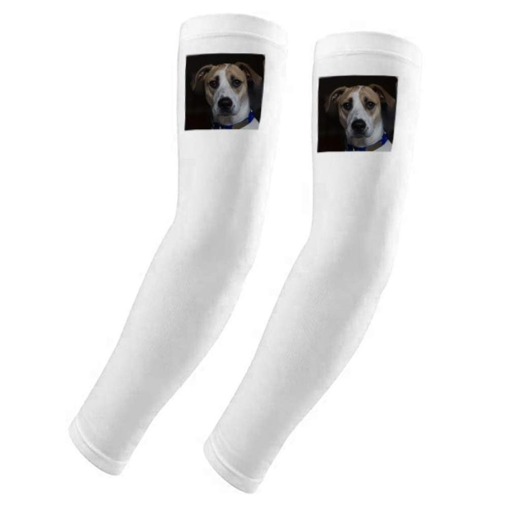 Guante para perros y mascotas DIYthinker con protección sol y UV 5