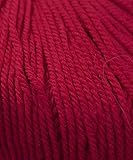 Cascade 220 Superwash DK Yarn - Really Red 809