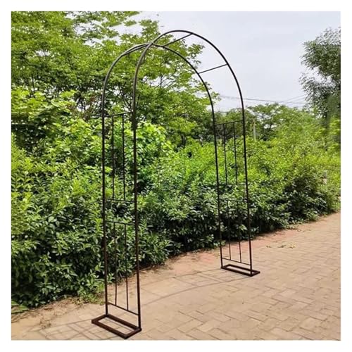 Arche de jardin en métal 1,2x2,7m pour plantes grimpantes et roses