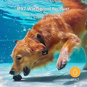 PATPET Dog Training Collar for Large Dogs - IPX7 Waterproof E Collar for Dogs Training with Beep, Vibration and Static Modes PATPET Dog Training Collar for Large Dogs IPX7 Waterproof E Collar for Dogs Training with Beep Vibration and Static Modes