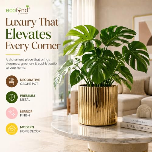Image of ecofynd 1 Pack Metal Plant Pots (6 inch), Indoor Small Planter Flower Pots, Home Garden Decor Planter for Living Room Bedroom Interior (Gold Finish, POT048)