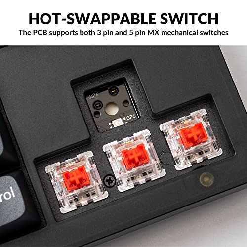 Image of Keychron V3 Wired Custom Mechanical Keyboard, TKL Tenkeyless QMK /VIA Programmable Macro with Hot-swappable Keychron K Pro Red Switch Compatible with Mac Windows Linux (Frosted Black-Translucent)