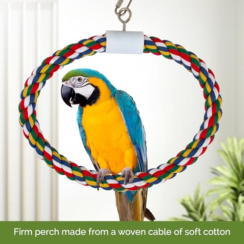 Image of JW Pet Swing N' Perch, Large