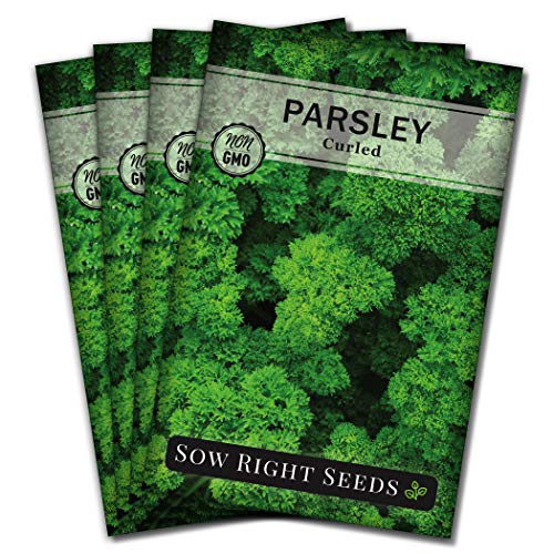 Sow Right Seeds - Curly Leaf Parsley Seed for Planting - Non-GMO Heirloom Packet with Instructions to Plant and Grow a Kitchen Herb Garden - Indoor or Outdoor - Great for Hydroponics Growing (4)