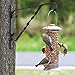 Amagabeli Hanging Plants Bracket 12'' Wall Planter Hook Flower Pot Bird Feeder Wind Chime Lanterns Hanger Patio Lawn Garden for Shelf Shelves Fence Screw Mount against Door Arm Hardware