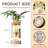 Glass Plant Propagation Stations, Propagation Vases for Plants with Ambient Light Base, Hydroponic Vase for Home & Office Windowsill Tabletop Decoration Desktop Vases for Living Room, Bedroom (6) #1