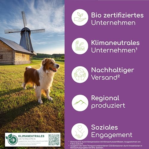 Wolfsbacher Natürliches Beruhigungsmittel für Hunde | Mit Hanf bei Stress und L-Tryptophan für Ruhe und Entspannung | Anti-Stress Pulver für Hunde