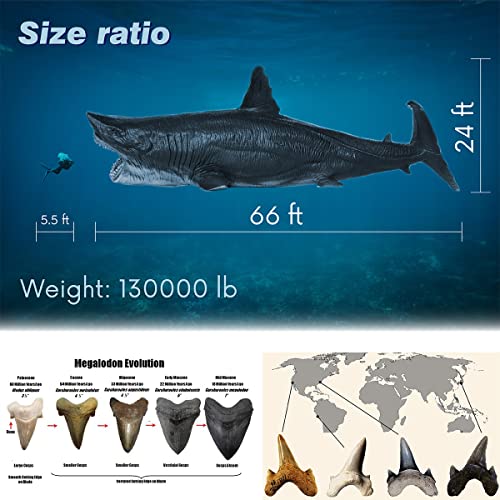 Coyka – Sea Safari Animals Action Figures – Megalodon Shark Toys – Zoo Animals Educational Toys #TOP1