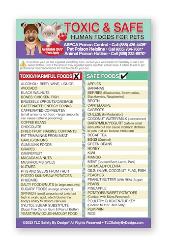 Magnetic List Toxic Safe Harmful Foods for Pets - Dog Cat Feeding Chart - People Food Dogs Cats Should Not Eat - Chart Decorative Magnets - Pet Safety - Pet Adoption Essentials Gift 5.5 x 8.5 inches