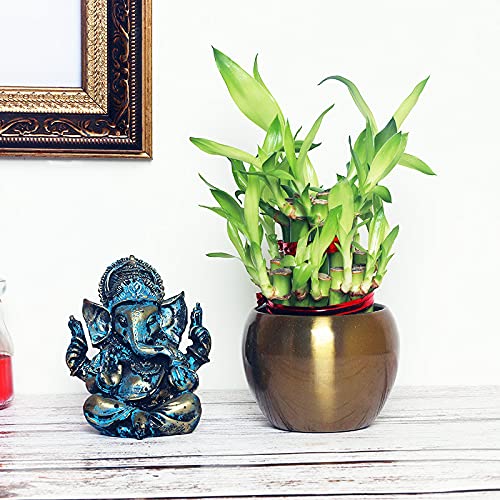 FlowerAura Decorative Air Purifying 2 Layer Lucky Bamboo Live Indoor Plant In Metal Vase Pot With Ganesha God Idol Showpiece Figurine For Living Room, Table Corner, Balcony, Office/Home Decoration And Gifts For Friends, Relatives, Neighbours & Colleagues