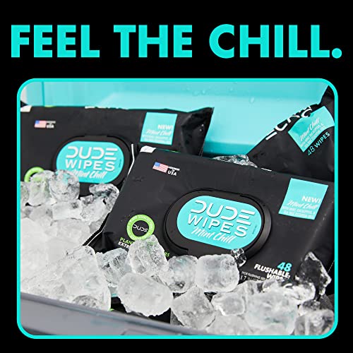 Dude Wipes Flushable Wipes - 1 Pack, 48 Wipes - Mint Chill Extra-Large Wet Wipes With Eucalyptus & Tea Tree Oil - Sewer And Septic Safe #TOP3