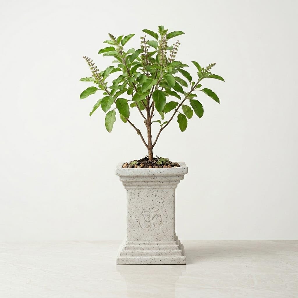 Tulsi Plant Pot with Om Symbol | White Speckled Planter for Home and Garden | Size: 31x23 cm-picture-11
