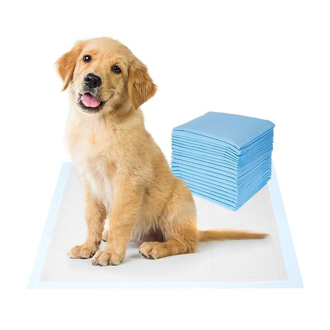 Quittance Training Pads for Dogs - 10 Piece | Pets Training Pads, Pee Pads for Dogs, Pee Mat for Dogs, Dog Toilet Mat, Puppy Training Pads, Dog Potty Training Pads - 60 * 90 cm (B0D9JHY2X9) Amazon Price History, Amazon Price Tracker