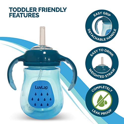LuvLap-Little-Dolphin-Sipper-for-InfantToddler-280ml-Anti-Spill-Sippy-Cup-with-Soft-Silicone-Straw-BPA-Free-12m-Blue