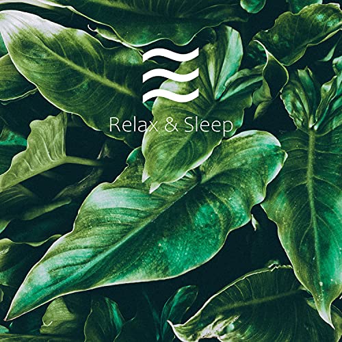 Rain sound effect FX Sound