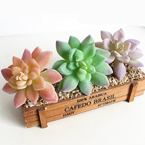 WINOMO 3 peças de plantas suculentas artificiais de cacto falso flores para plantas DIY decoração de
