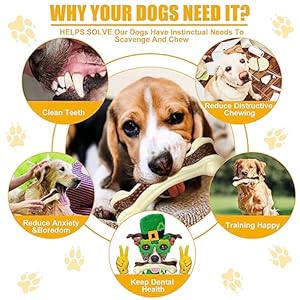 Sosation 10 pcs dog chew toys for aggressive chewers nylon beef flavor dog bone toy for aggressive chewers dog chew bones tough dog teething toy for medium breed dogs puppies pets   cucciolini doodles