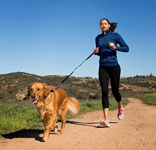 Image of HALTI Active Leash - Award-Winning Bungee Dog Leash, Shock-Absorbing, All-in-One Neoprene Padded Belt & Lead, Perfect for Running & Training with Small & Medium Dogs (Size Small, Blue) | Award-Winning Bungee Dog Leash | Shock-Absorbing Anti-Pull Leash | Padded Belt | Running & Training Small & Medium Dogs