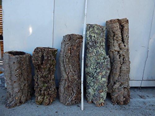 Kork-Terrarium Dekoration 4er Set - Natürliche Korkrinde Für Reptilien & Amphibien