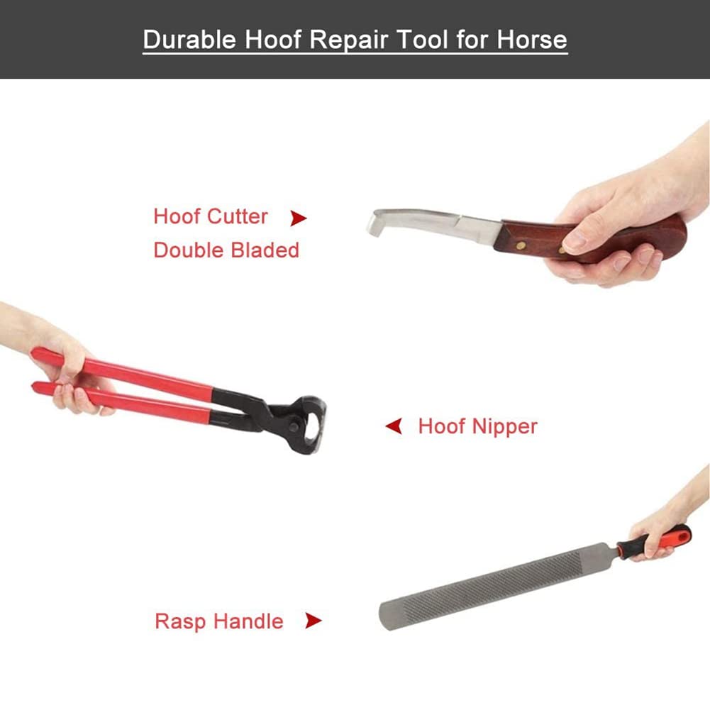 Kit de Pinzas para pezuñas de Caballo, Herramienta para Recortar pezuñas de herrador de Cabra, Herramientas con Cuchillo con Mango, Equipo Estable, Tijeras de Herradura para manicura, uñas de Cab