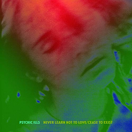 Never Learn Not To Love / Cease To Exist image 2