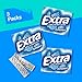 EXTRA Peppermint Sugar Free Gum Back To School Chewing Gum, 3 Pack Bulk Gum (45 Sticks Total)