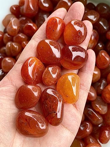 Image of GAF TREASURES 1 /2 LB Carnelian Tumbled Stones, Polished Carnelian Gemstone, Carnelian Healing Crystals (Carnelian)