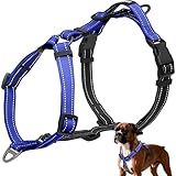 No-Pull Harness,Y-Shaped Design,Buckle-Neck Balance Harness with Reflective Stitching, Ideal for Dog Training and Night Walking, Padded Handle, Durable High-Tensile Nylon-Blue-L