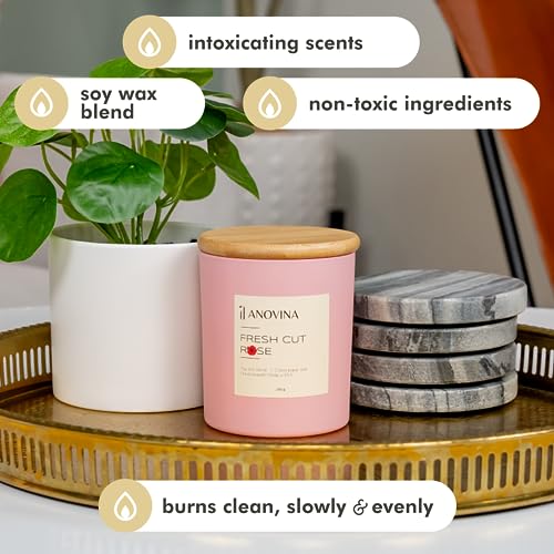Handpouredinusaanovinafreshcutrosesscentedcandlesoywaxblendinanelegantgiftboxaperfectrosecandlegiftforwomenandagreatvalentinesgift Urban Country Home Decor Hand poured in usa anovina fresh cut roses scented candlesoy wax blend in an elegant gift box a perfect rose candle gift for women and a great valentines gift urban country home decor