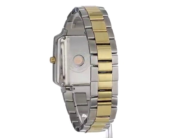 Watch Philip Stein Women display picture 1